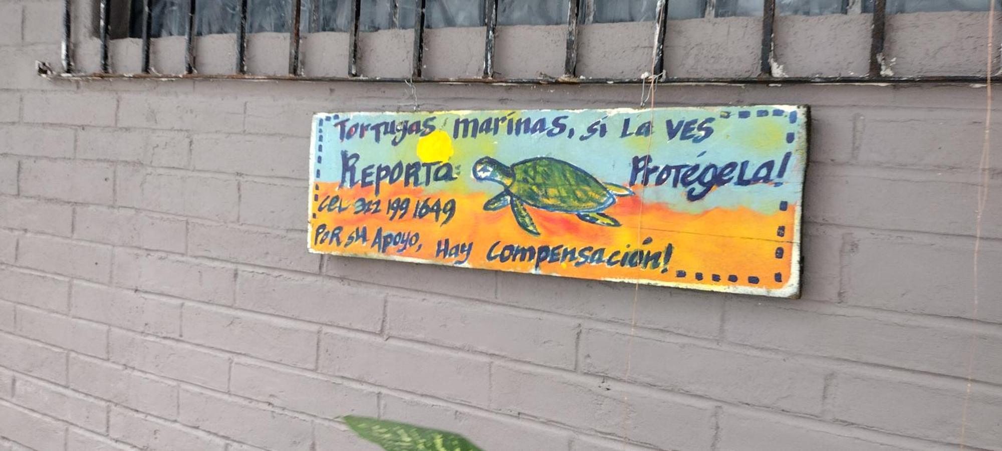 Villas Del Amor Amor Πουέρτο Βαγιάρτα Εξωτερικό φωτογραφία
